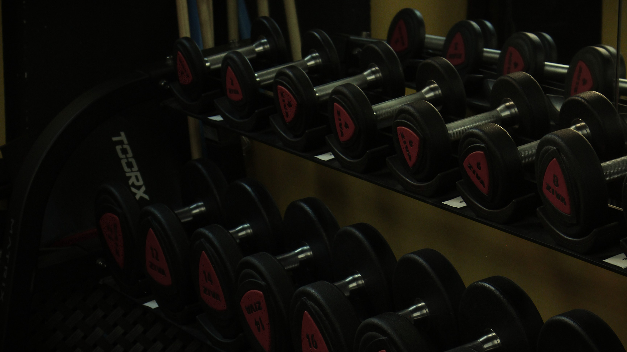 Rastrelliera manubri professionali Toorx nella sala pesi di Chapo Fitness Palermo